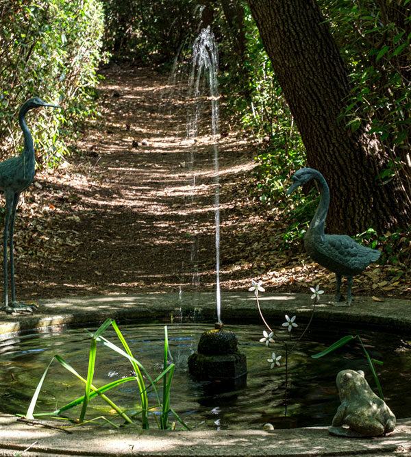 Bassin de jardin - Tesa Garden